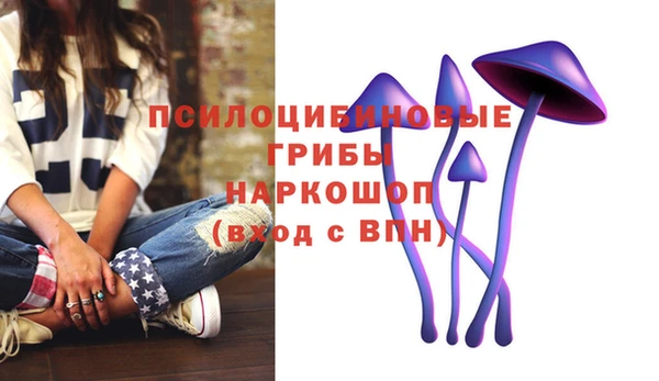 бошки Каменногорск