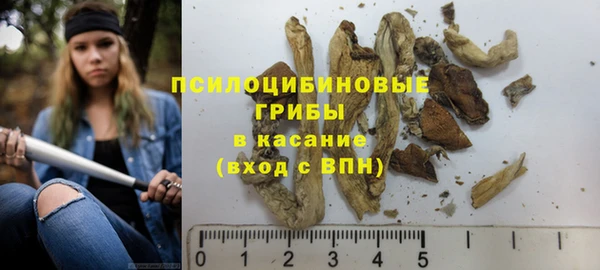 ешки Каменка