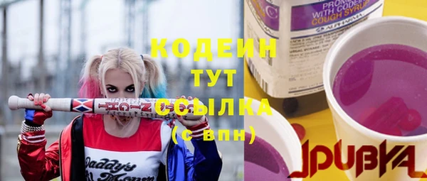 бошки Каменногорск