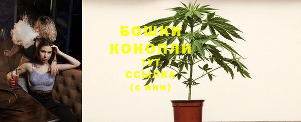 бошки Каменногорск