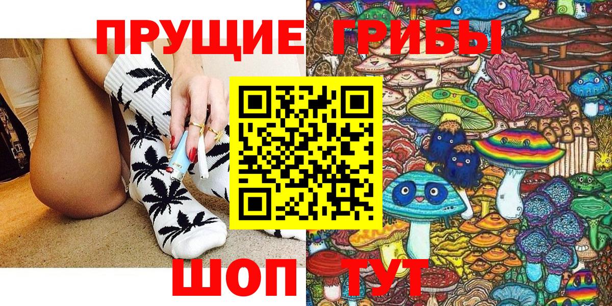 Домодедово  Галлюциногенные грибы Psilocybine cubensis  Вход с VPN 